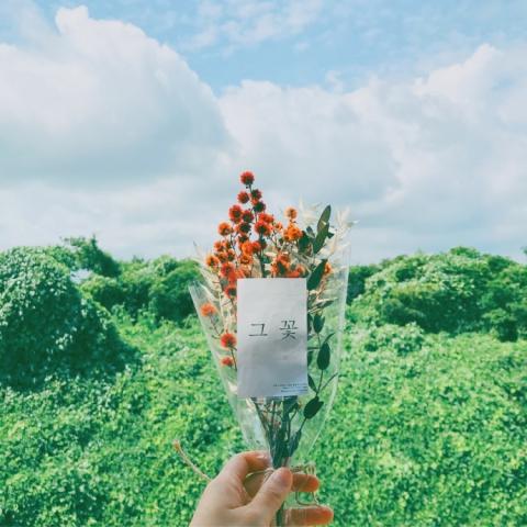 快手头像风景_WWW.TQQA.COM