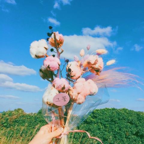 快手头像风景_WWW.TQQA.COM