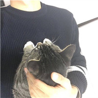抱猫头像男_WWW.TQQA.COM
