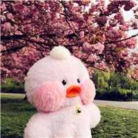 小鸭子头像图片_WWW.TQQA.COM
