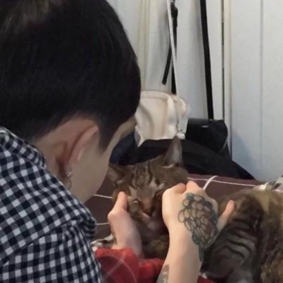 男生帅气网图头像_WWW.TQQA.COM