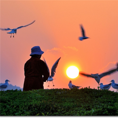 老年人微信头像风景_WWW.TQQA.COM