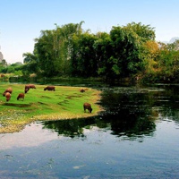 手机头像图片大全风景_WWW.TQQA.COM