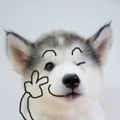 可爱狗狗情侣头像图片_WWW.TQQA.COM