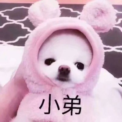 可爱狗狗情侣头像图片_WWW.TQQA.COM