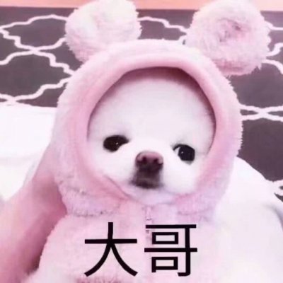 可爱狗狗情侣头像图片_WWW.TQQA.COM