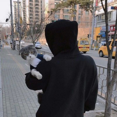 高清不露脸的男生抱猫头像高清图片_WWW.TQQA.COM