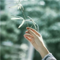 唯美古风手控头像_WWW.TQQA.COM