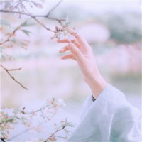 唯美古风手控头像_WWW.TQQA.COM