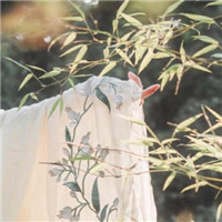 唯美古风手控头像_WWW.TQQA.COM