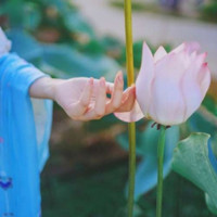 唯美古风手控头像_WWW.TQQA.COM