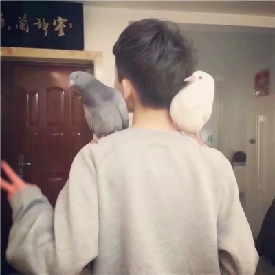 微信成熟男头像_WWW.TQQA.COM