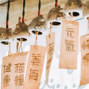 微信头像淡雅清新_WWW.TQQA.COM