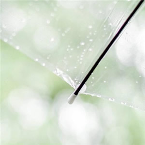 微信头像淡雅清新_WWW.TQQA.COM