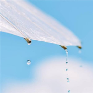 微信头像淡雅清新_WWW.TQQA.COM