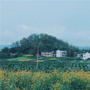 微信头像淡雅清新_WWW.TQQA.COM