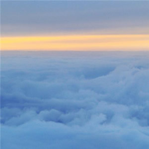 微信头像淡雅清新_WWW.TQQA.COM