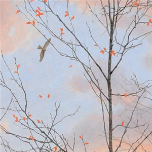 微信头像淡雅清新_WWW.TQQA.COM