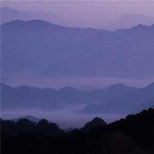 微信头像淡雅清新_WWW.TQQA.COM