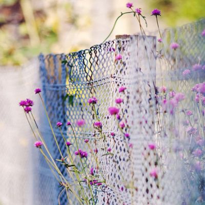 22张高清好看的微信头像图片唯美_WWW.TQQA.COM