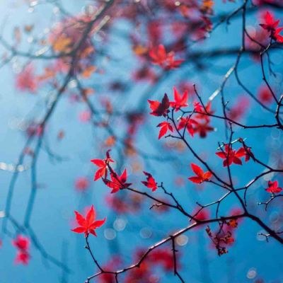 22张高清好看的微信头像图片唯美_WWW.TQQA.COM