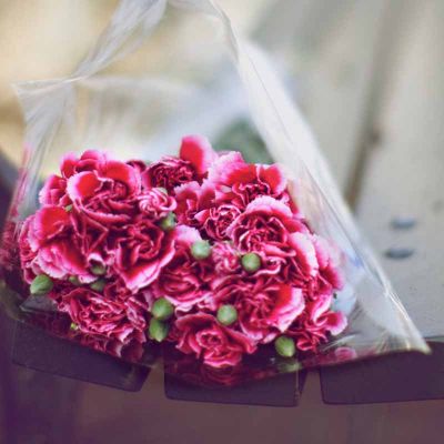 22张高清好看的微信头像图片唯美_WWW.TQQA.COM