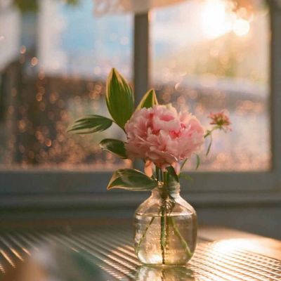 22张高清好看的微信头像图片唯美_WWW.TQQA.COM