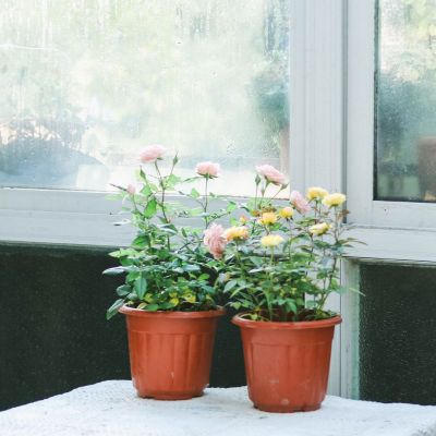 22张高清好看的微信头像图片唯美_WWW.TQQA.COM