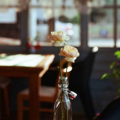 22张高清好看的微信头像图片唯美_WWW.TQQA.COM