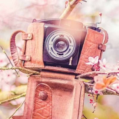 22张高清好看的微信头像图片唯美_WWW.TQQA.COM