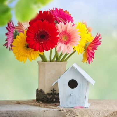 22张高清好看的微信头像图片唯美_WWW.TQQA.COM